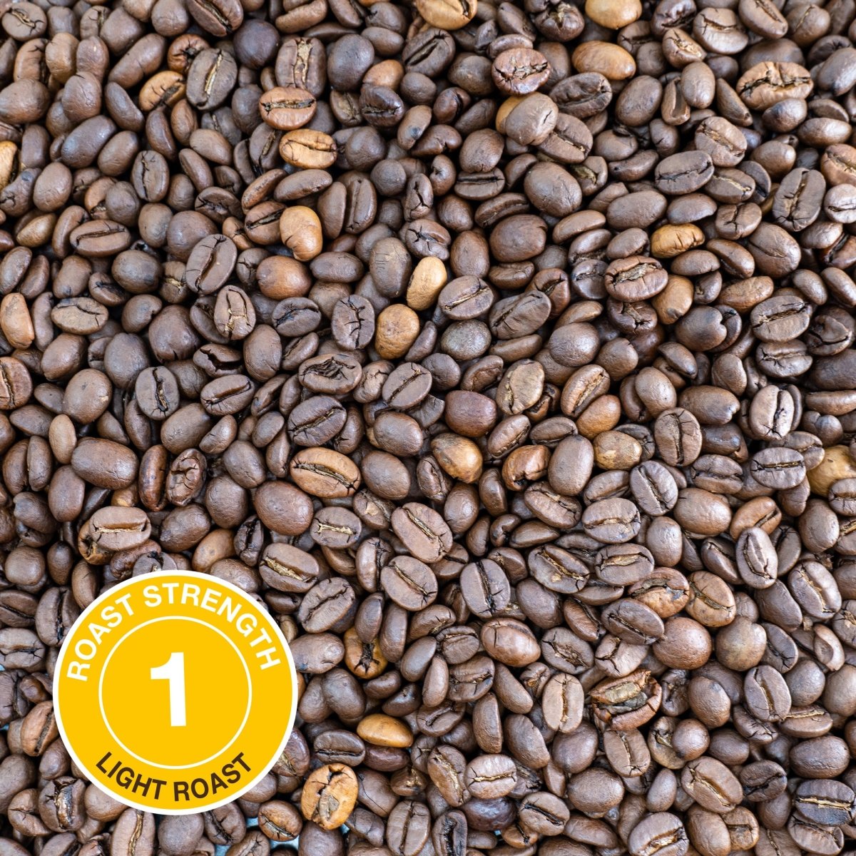Breakfast Blend Coffee, Strength 1, Light Roast - Brown Bear Coffee